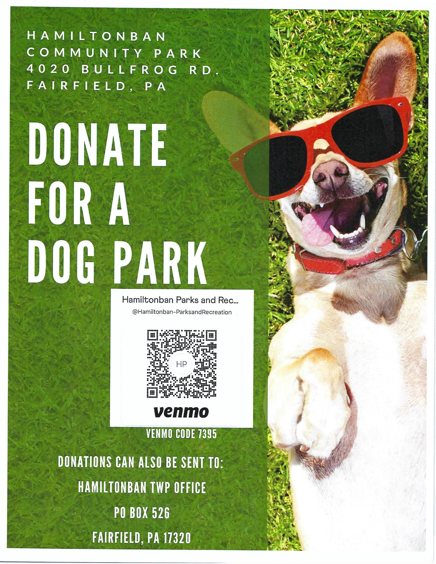 Dog Park Flyer